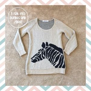 🦓 Zebra sweater
